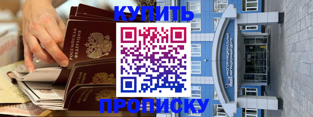 прописка гарантия в Лосино-Петровском